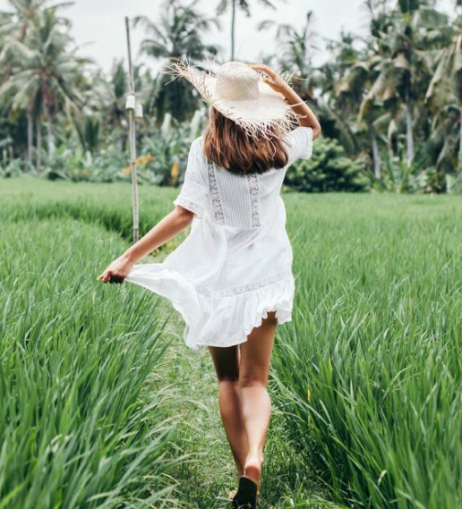 MB8 Live Casino Review 2026