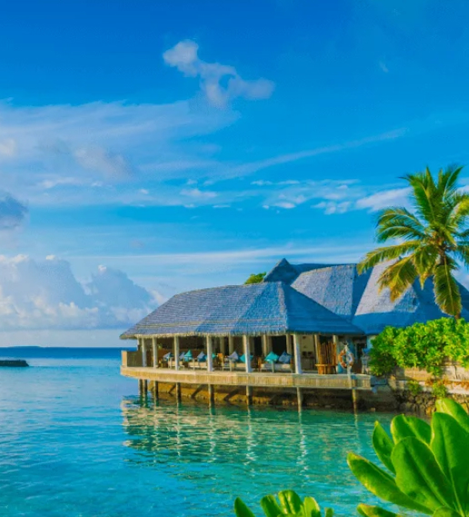 MB8 Sports Betting 2026